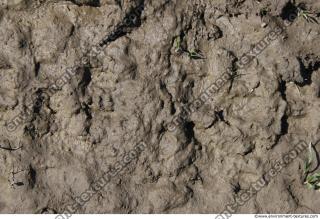 photo texture of soil mud